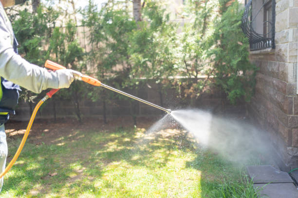 Pest Prevention Services in Edgerton, OH